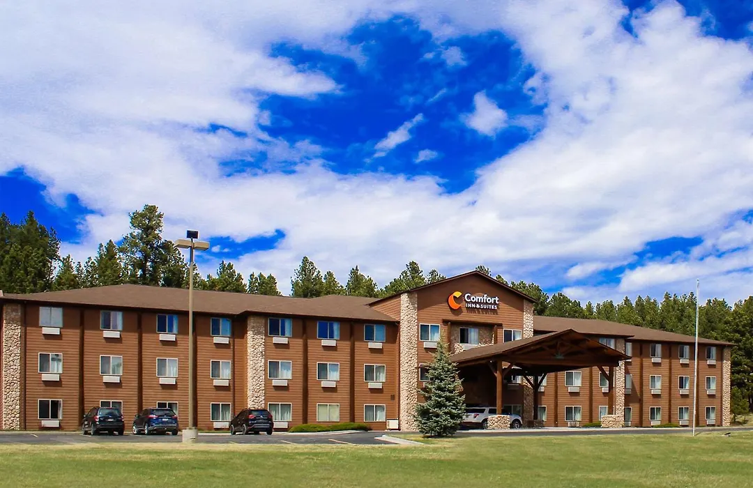 Comfort Inn & Suites-1