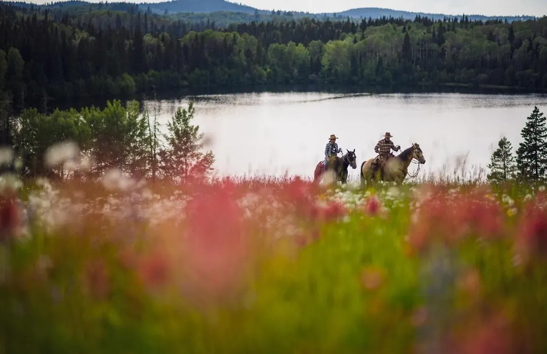 Montana Hill Guest Ranch-1