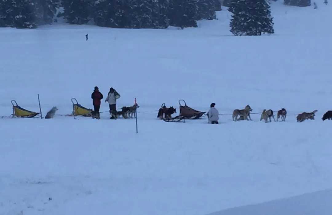 Malga Millegrobbe Nordic Resort-1