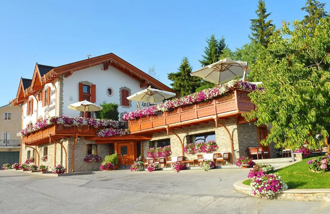 Hotel Le Ortensie-1