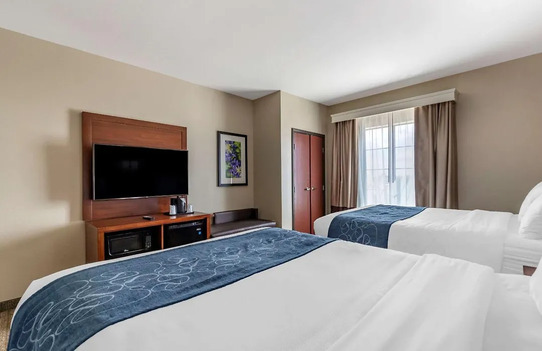 Comfort Suites Buda - Austin South-1