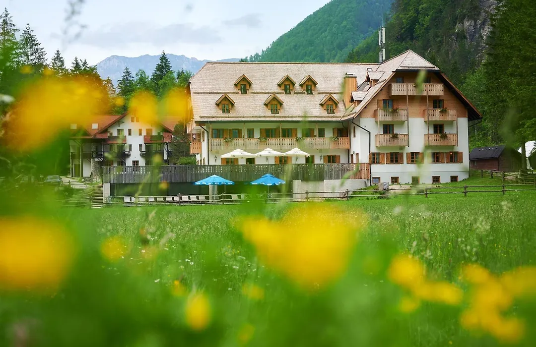 Hotel Plesnik Logar Valley-1