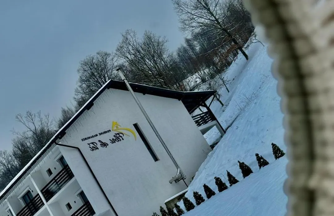 Flori De Tei Maramures-1