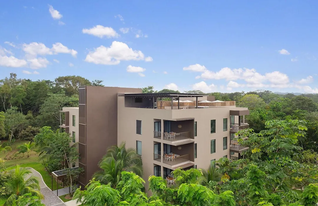 Botanika Osa Peninsula, Curio Collection By Hilton-1