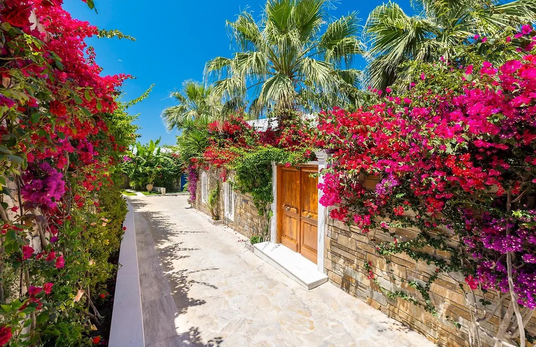 Porto Zante Villas And Spa-1