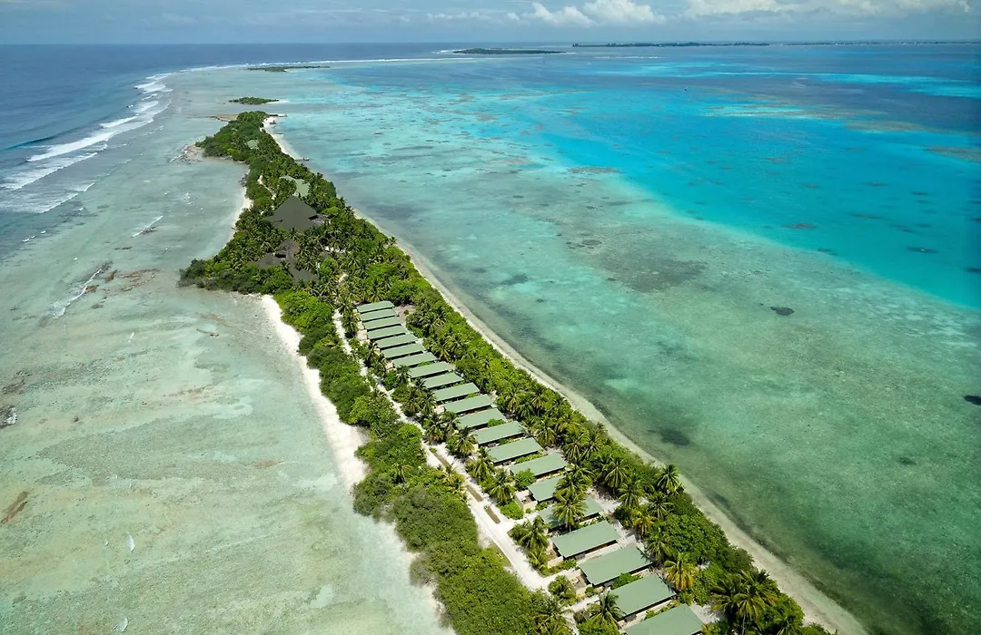 Canareef Resort Maldives-1
