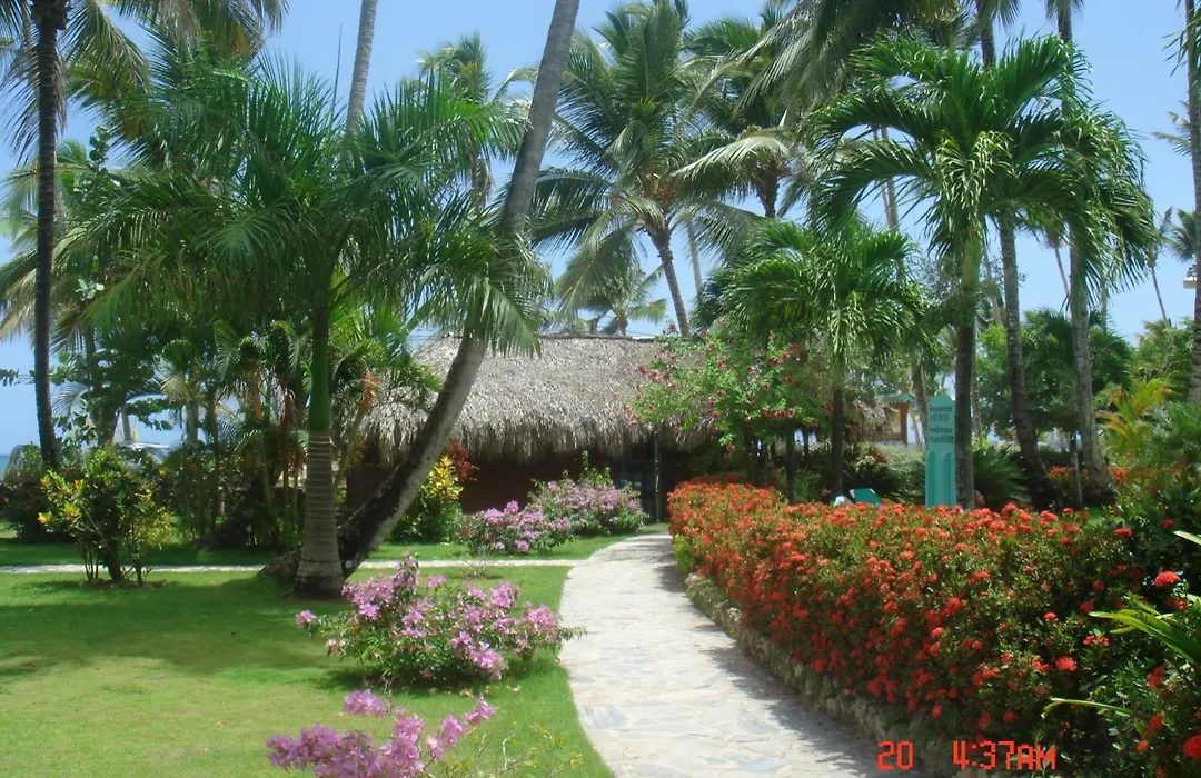 Hotel Playa Colibri-1