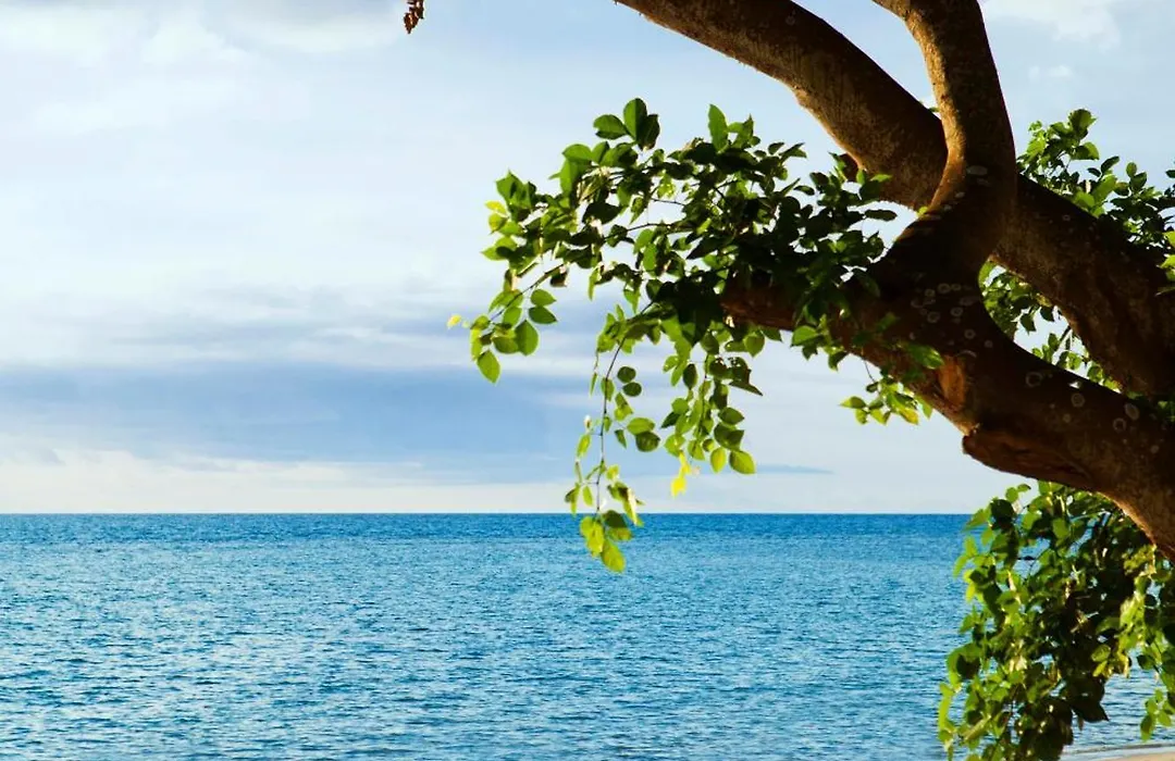 Le Jadis Beach Resort & Wellness - Managed By Banyan Tree Hotels & Resorts-1