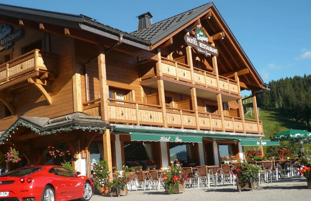 Hôtel Restaurant Les Sapins Wellness&Gourmet-1
