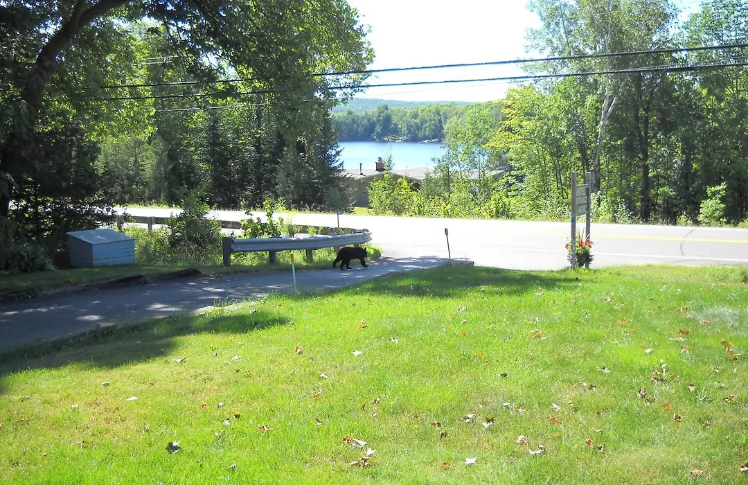 Lakeview Motel-1