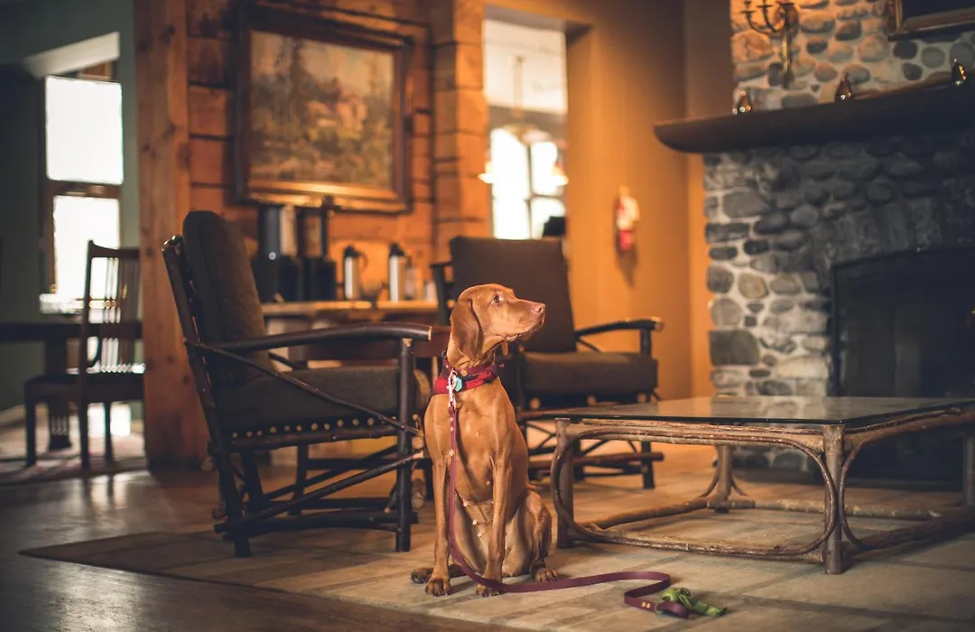 Emerald Lake Lodge-1