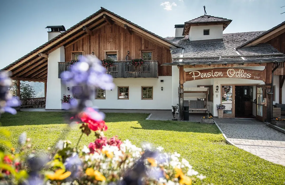 Hotel Pension Odles-1