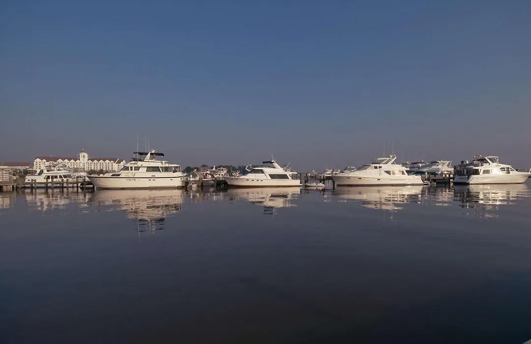 Hyatt Regency Chesapeake Bay Golf Resort, Spa & Marina-1