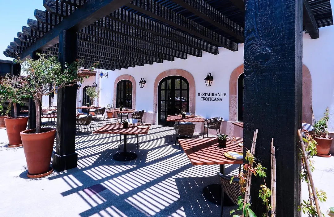 Tropicana Los Cabos, Tapestry Collection By Hilton-1