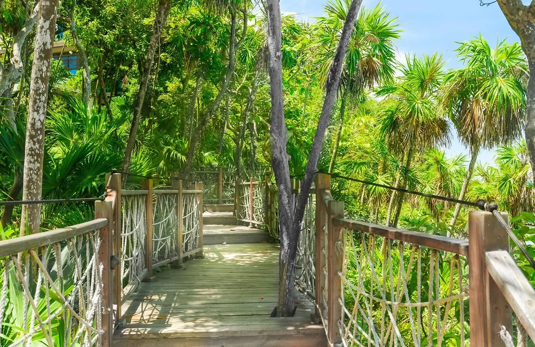 Kimpton - Grand Roatan Resort And Spa-1