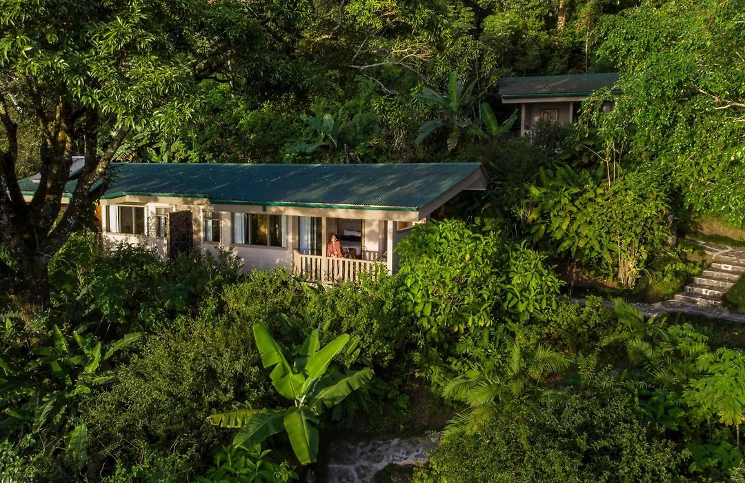 Senda Monteverde Hotel Member Of The Cayuga Collection-1