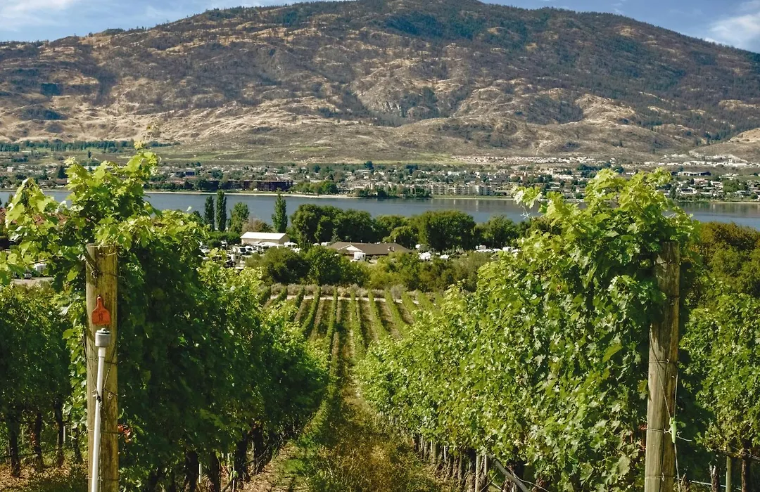 Coast Osoyoos Beach Hotel-1