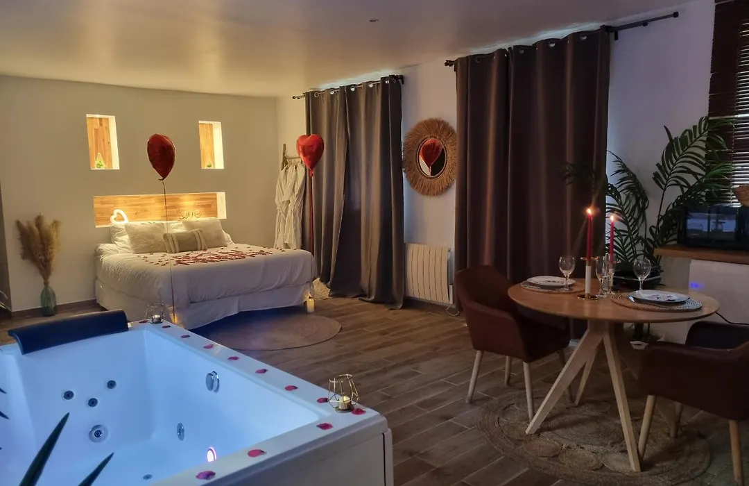 Loft de luxe avec jacuzzi jardin privé près de Paris et 20min Stade de France-1