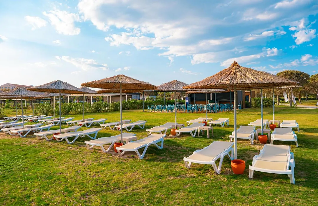 The X Belek-1