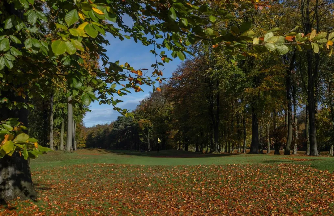 Forest Pines Hotel, Spa & Golf Resort-1