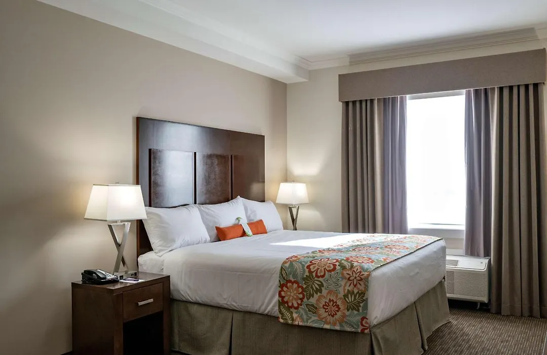 Coast Oliver Hotel-1