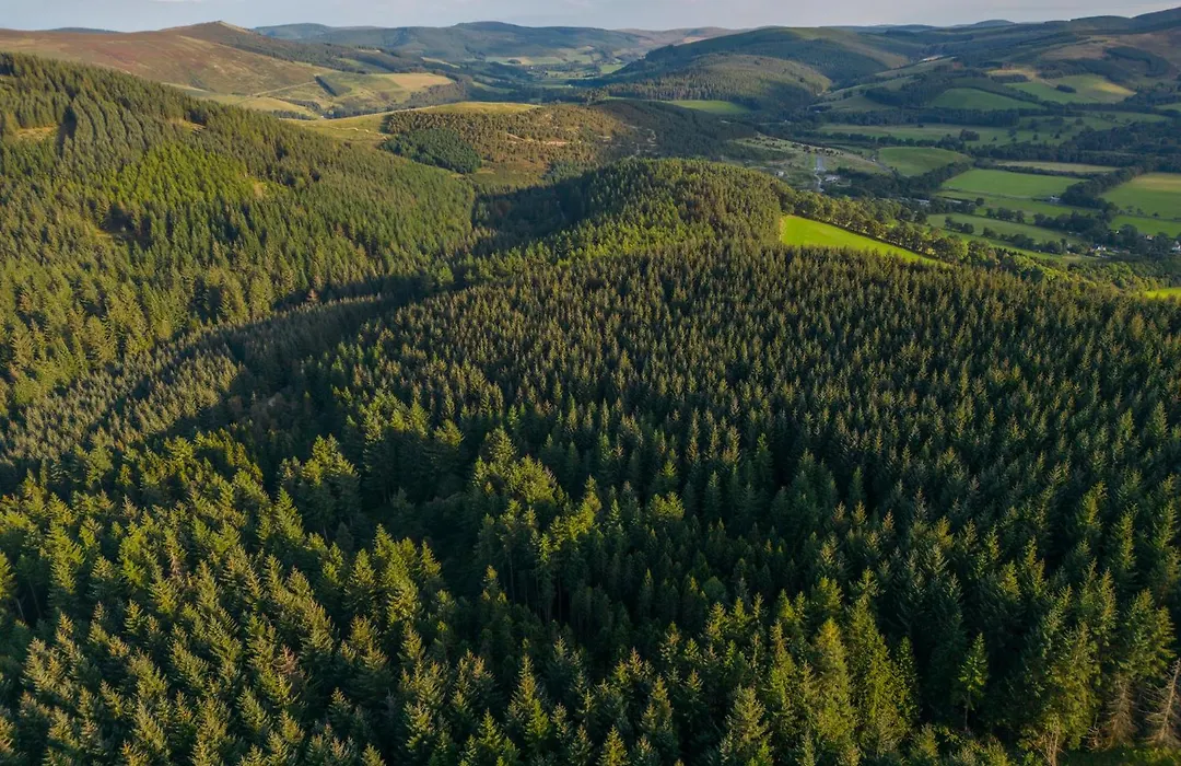 Glentress Forest Cabins - Forest Holidays-1