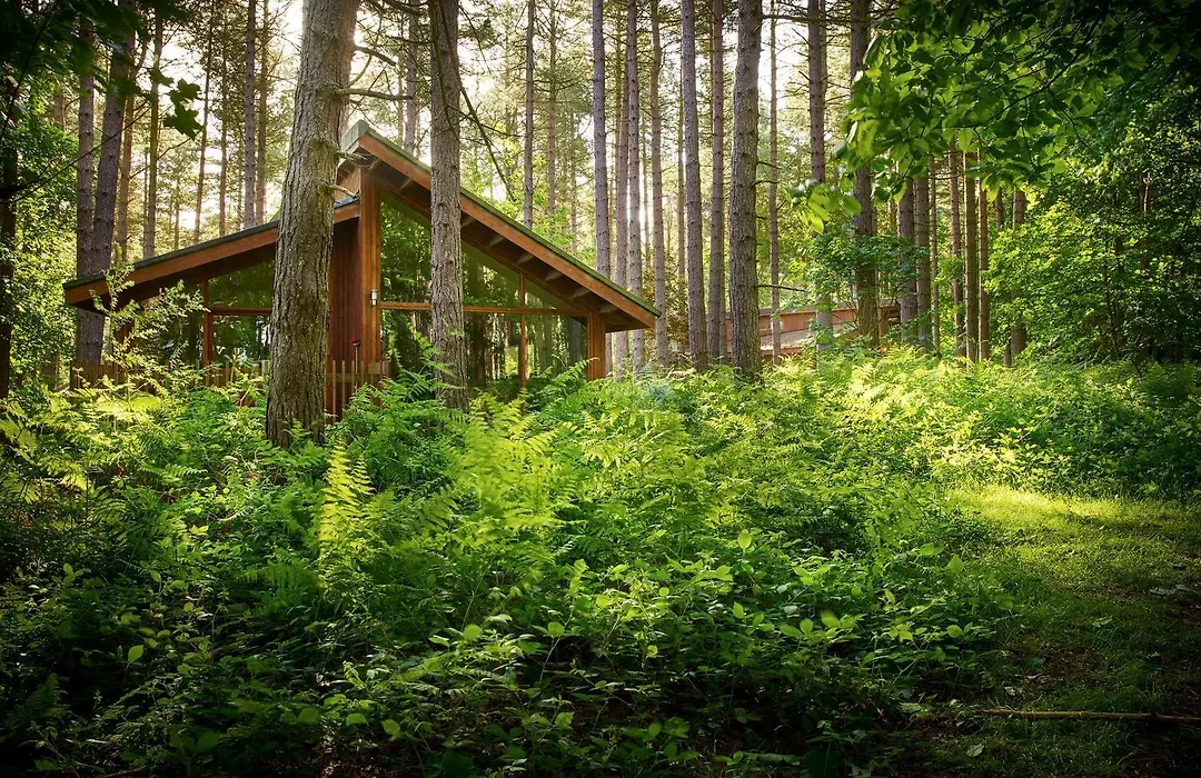 Blackwood Forest Cabins - Forest Holidays-1