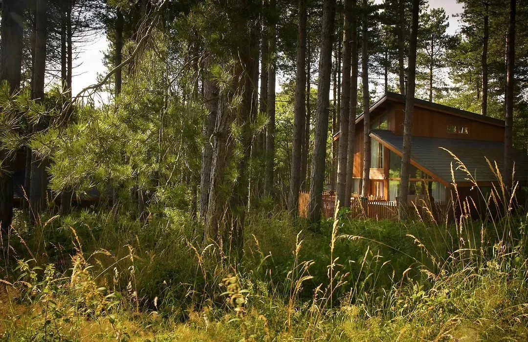 Thorpe Forest Cabins - Forest Holidays-1