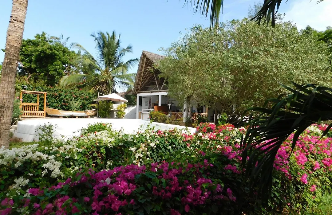 Dama Villa-1