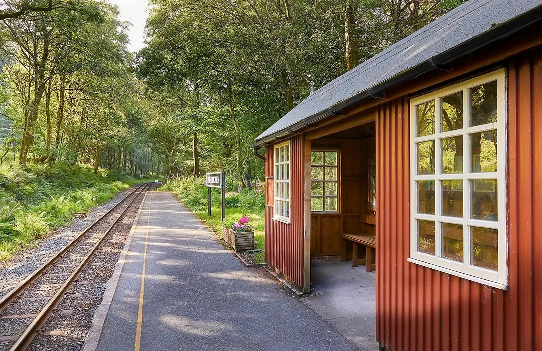 Beddgelert Cabins, Snowdonia - Forest Holidays-1