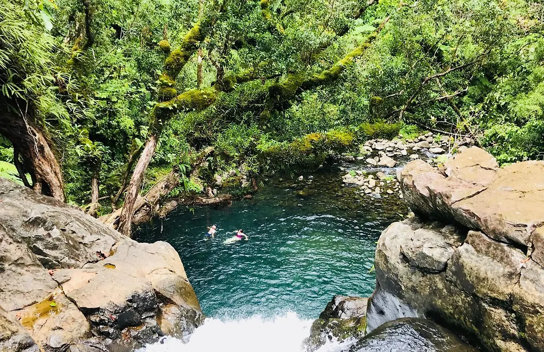 Taveuni Palms Resort-1