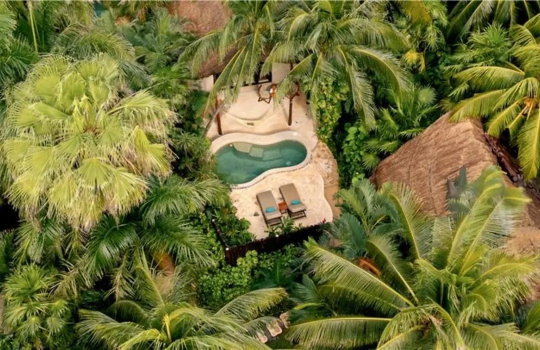 Viceroy Riviera Maya, A Luxury Villa Resort - Adults Only-1