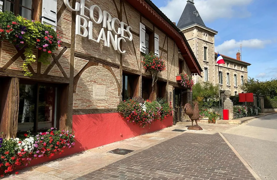 Georges Blanc Parc & Spa - Relais & Chateaux-1