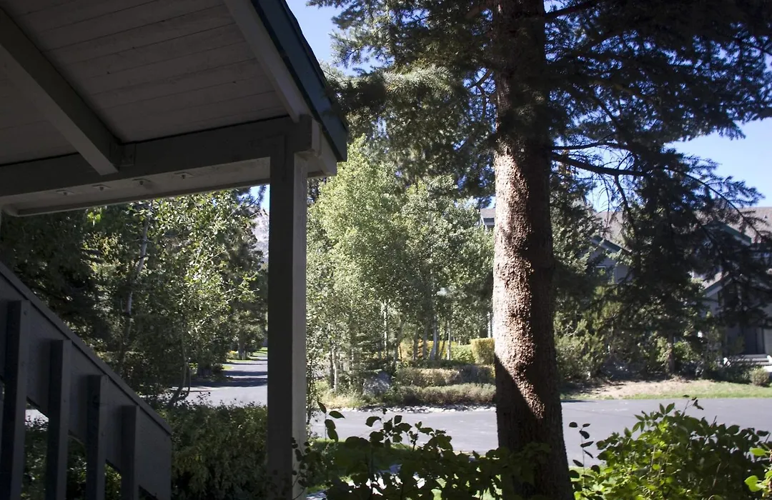 Snowcreek Resort Vacation Rentals-1