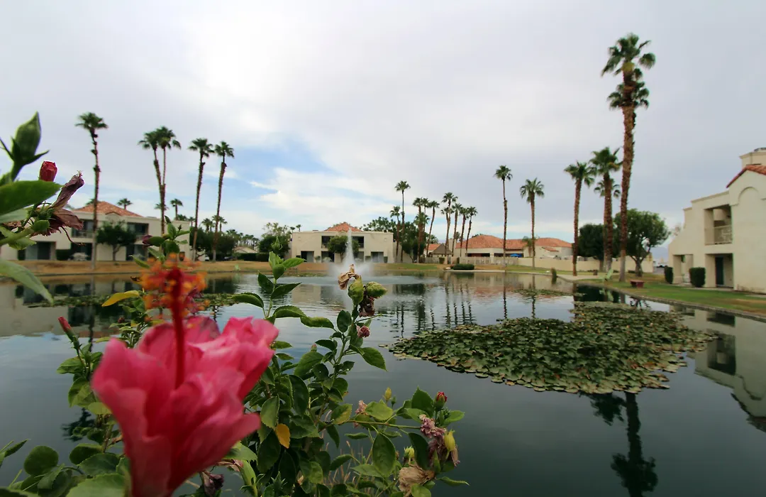 Desert Breezes Resort-1