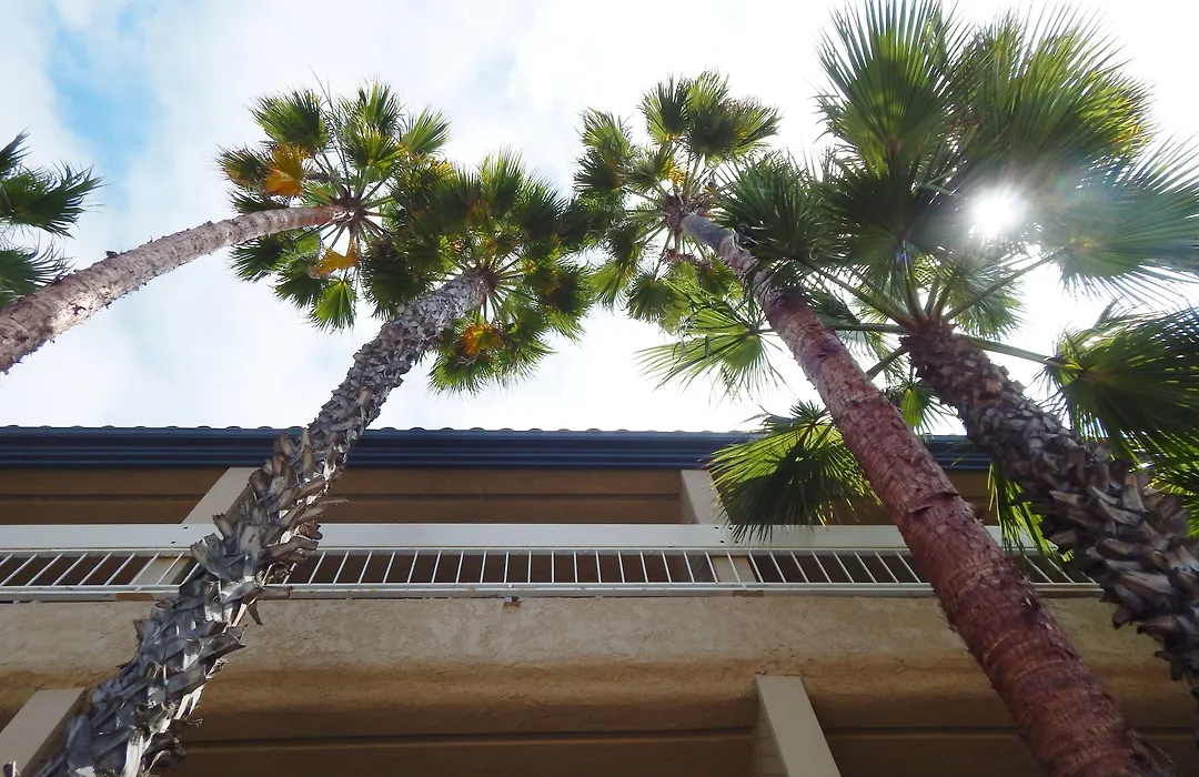 The Pacific Inn-1