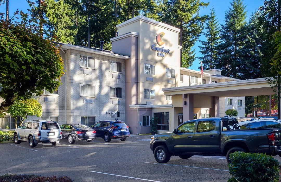 Comfort Inn Lacey - Olympia-1