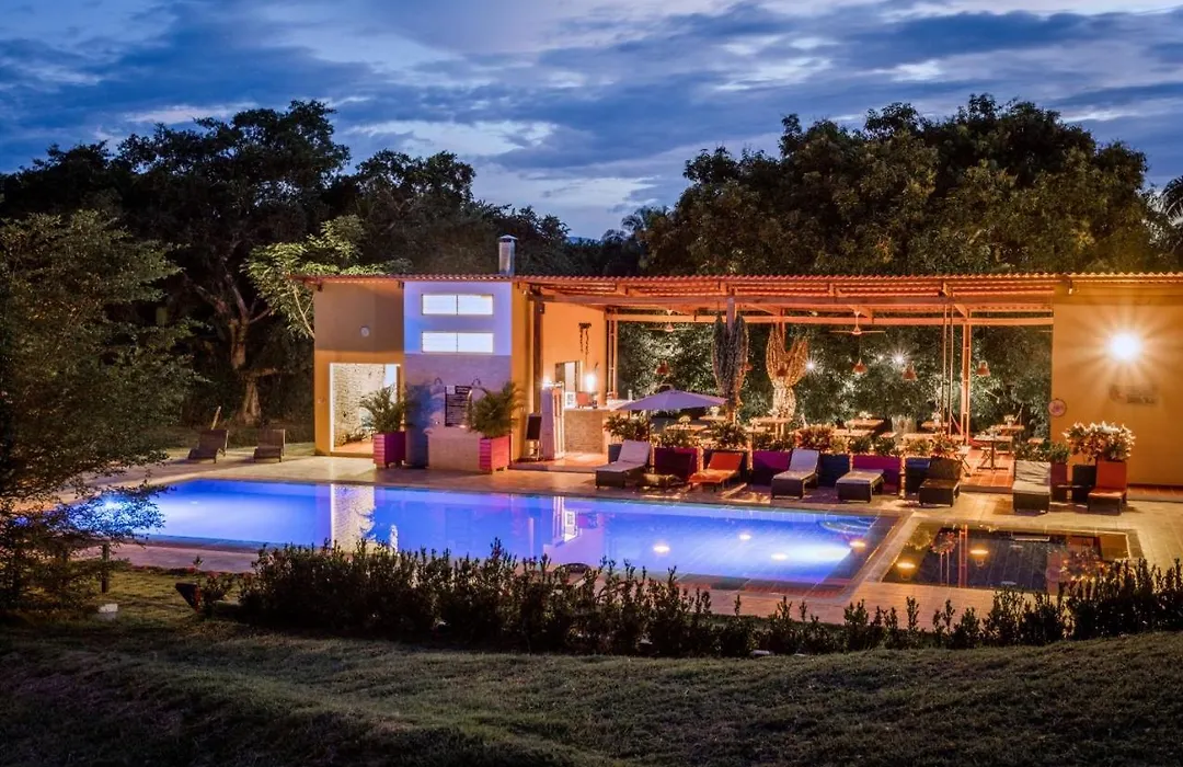 Mangoo Glamping-1