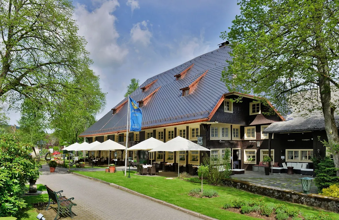 Parkhotel Adler-1