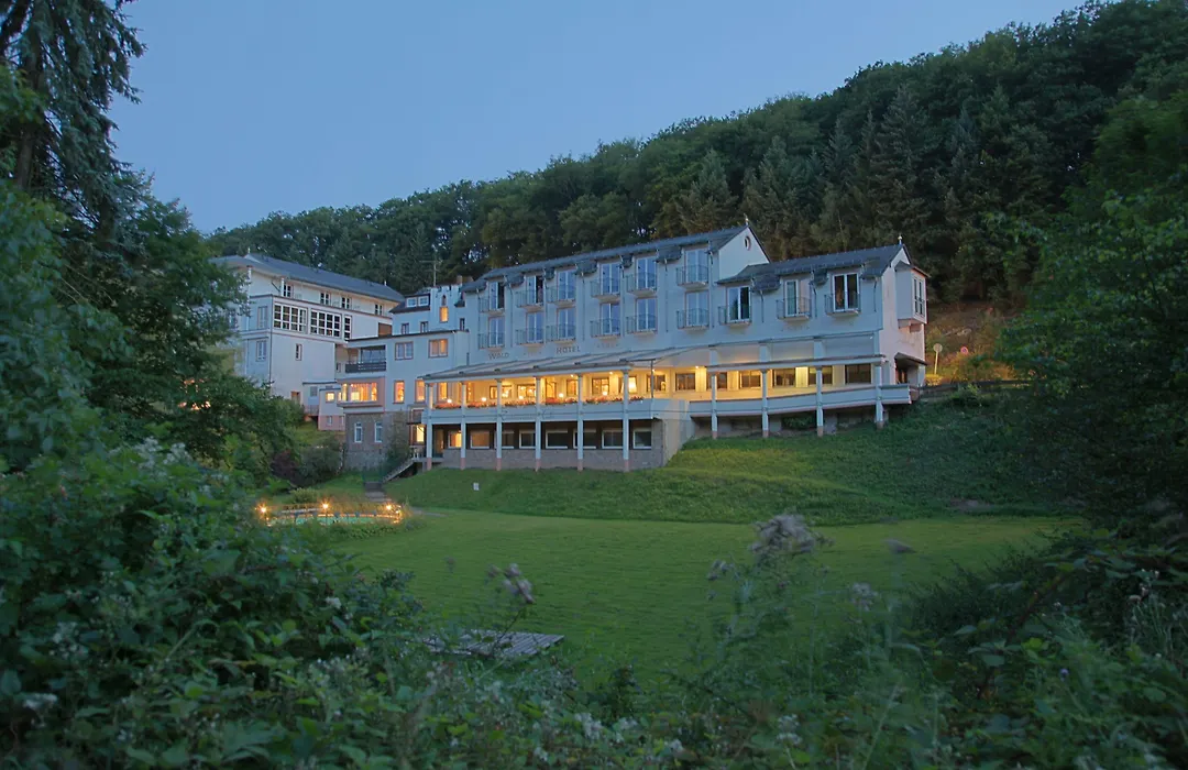 Akzent Waldhotel Rheingau-1