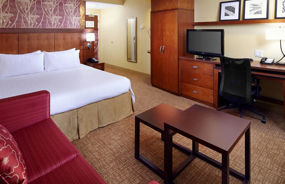 Courtyard Tampa Oldsmar-1