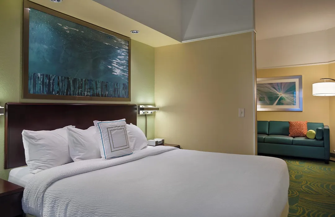 Springhill Suites St Petersburg Clearwater-1