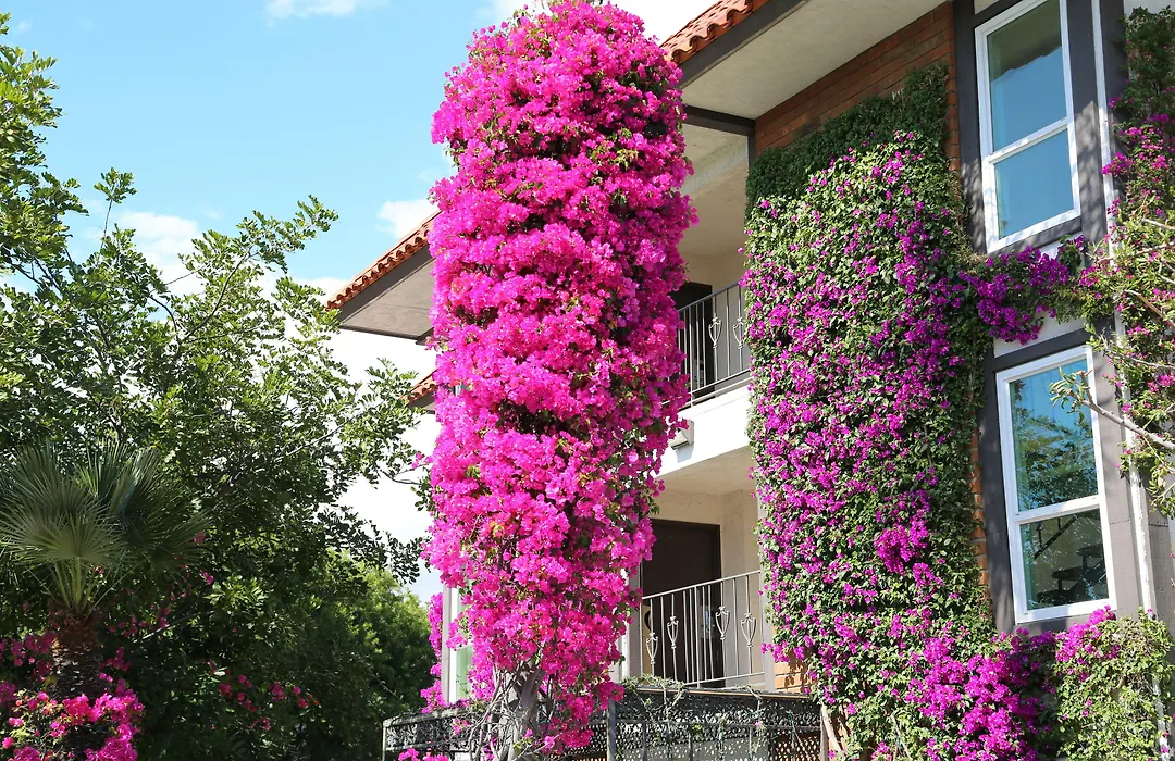 Laguna Hills Lodge-Irvine Spectrum-1