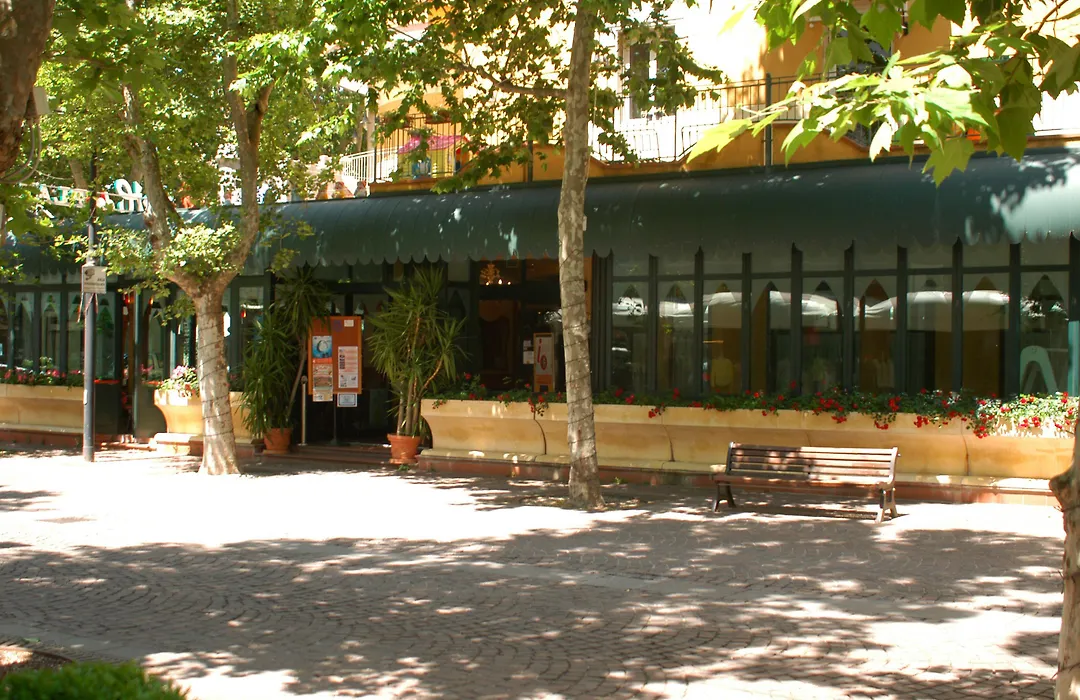 Hotel Dei Platani-1