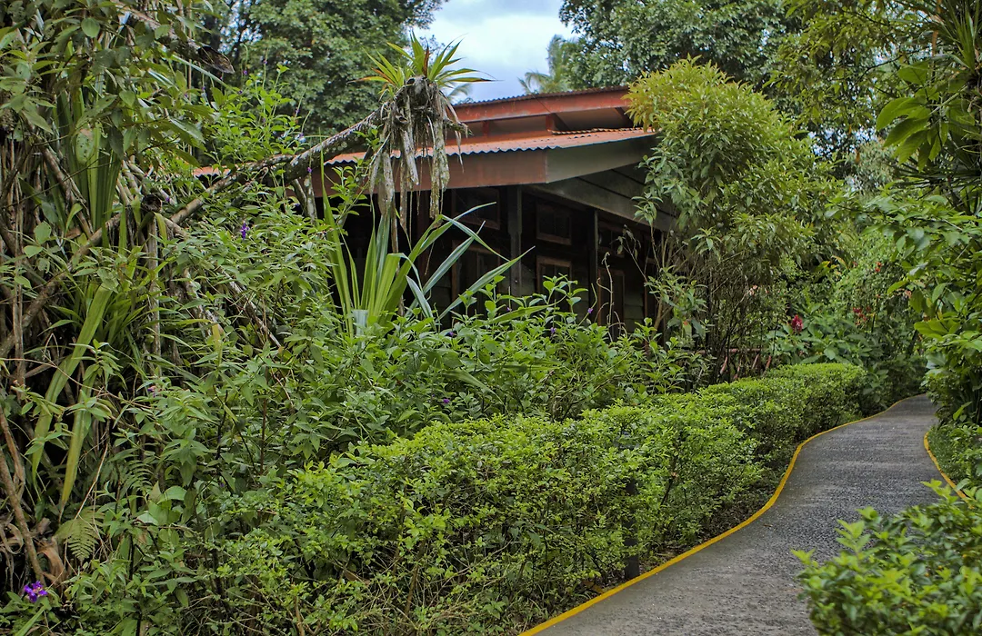 Pachira Lodge-1