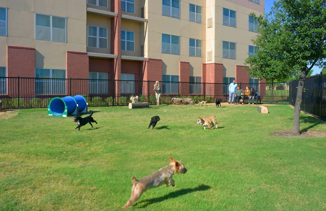 Residence Inn By Marriott Dallas Plano The Colony-1