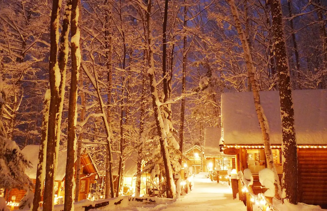 Shin Furano Prince Hotel-1