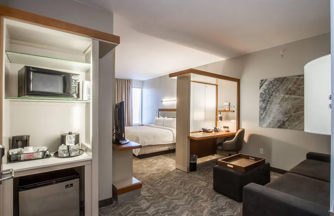 Springhill Suites By Marriott San Angelo-1