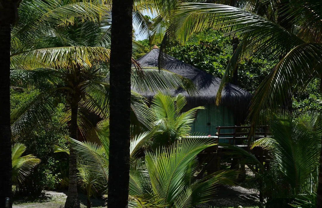 Aldeia da Mata Ecolodge-1