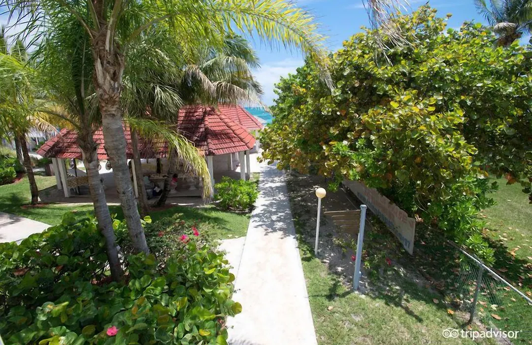 The Marlin At Taino Beach Resort-1